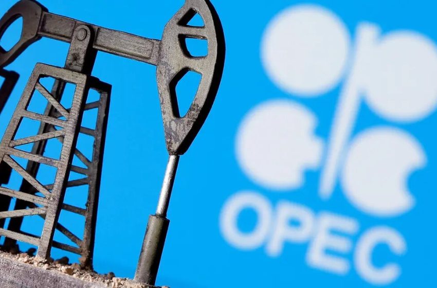 OPEC daily basket price stands at $113.04 a barrel Thursday