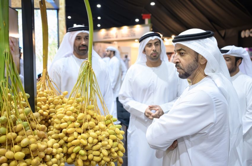  Hamdan bin Zayed visits Liwa Date Festival, reviews latest technologies in palm tree cultivation